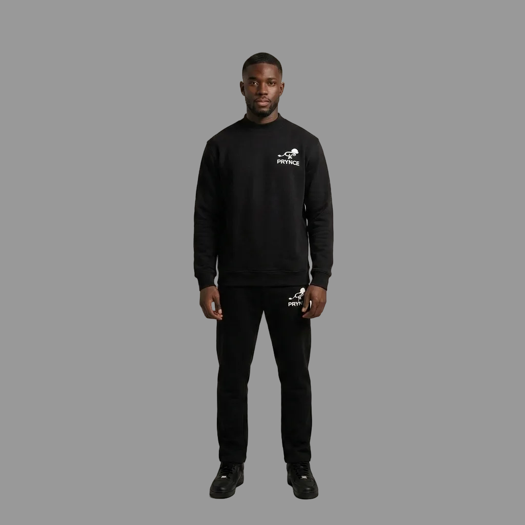 Model wearing the PRYNCE Athletics Set mockneck and jogger, PRYNCE studio catalog tile