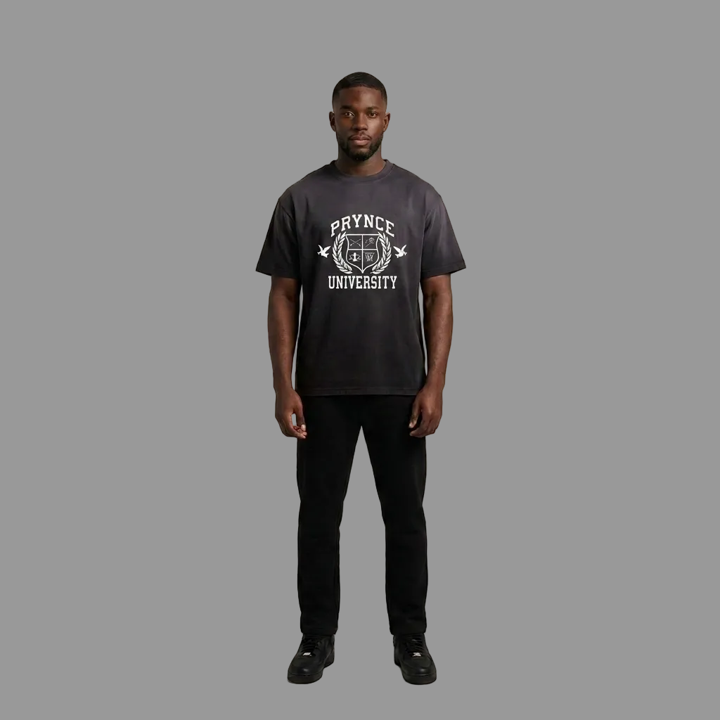 Model wearing the PRYNCE Sundown Fade Tee with the PRYNCE University crest, PRYNCE studio catalog tile